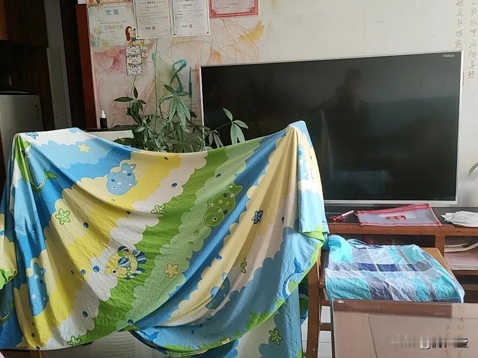 生活最重要的是什么？有人觉得是财富，可钱买不来安眠和健康；有人认为是成功，可无人