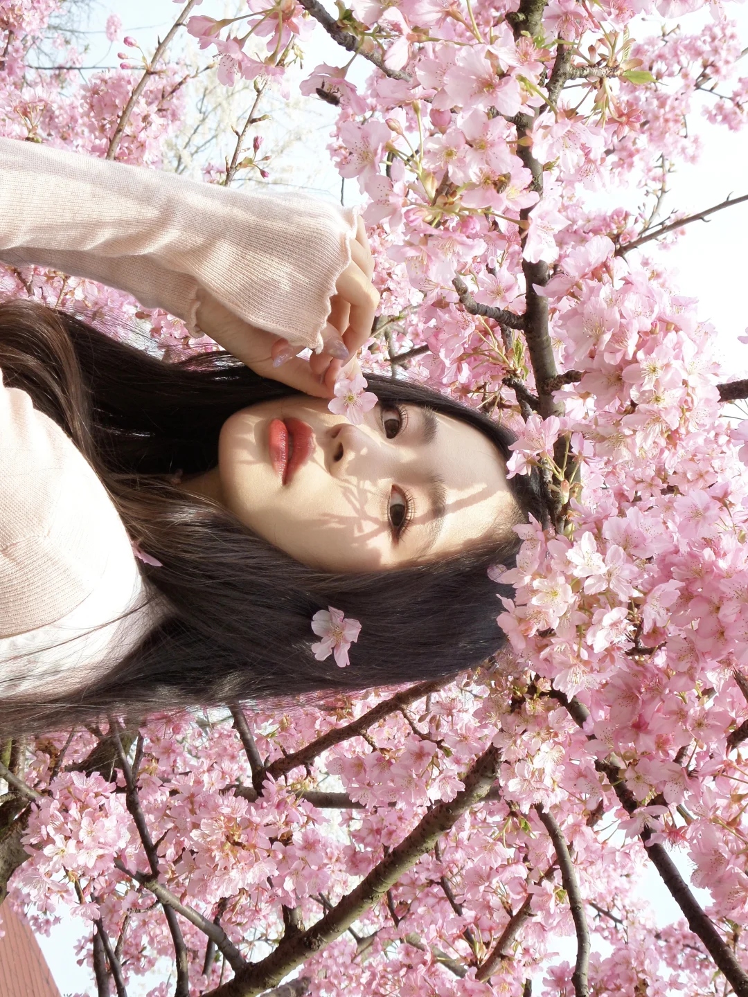 𝑐𝑐𝑑 🌸