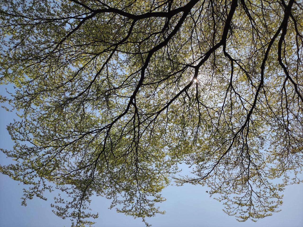 长了乳牙，不能再笑孩子是无齿之徒了
玉齿初萌衬粉腮，眉弯椅上乐如孩。
从今莫笑无