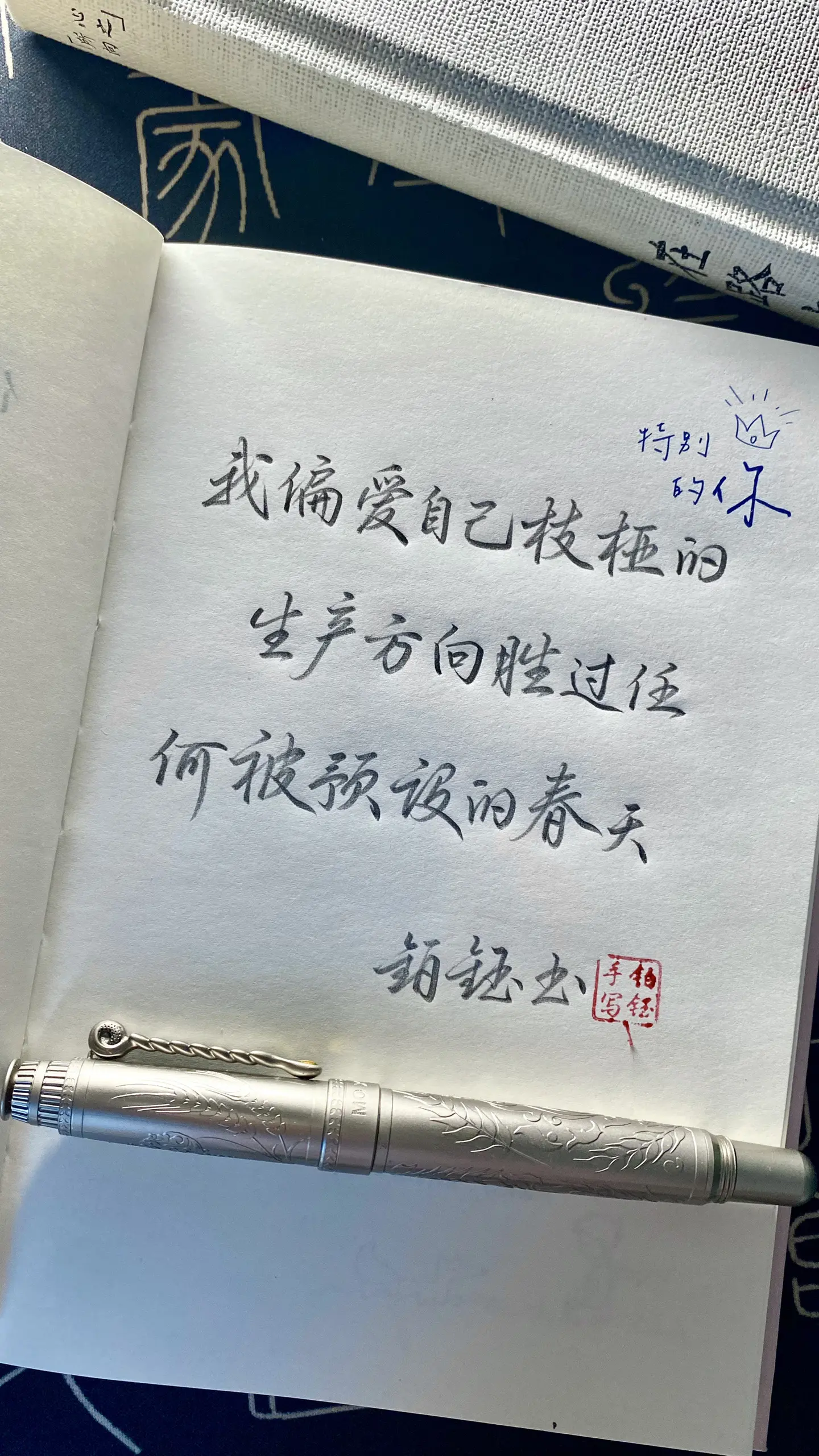 我偏爱自己枝桠的生产方向胜过任何被预设的春天情感共鸣