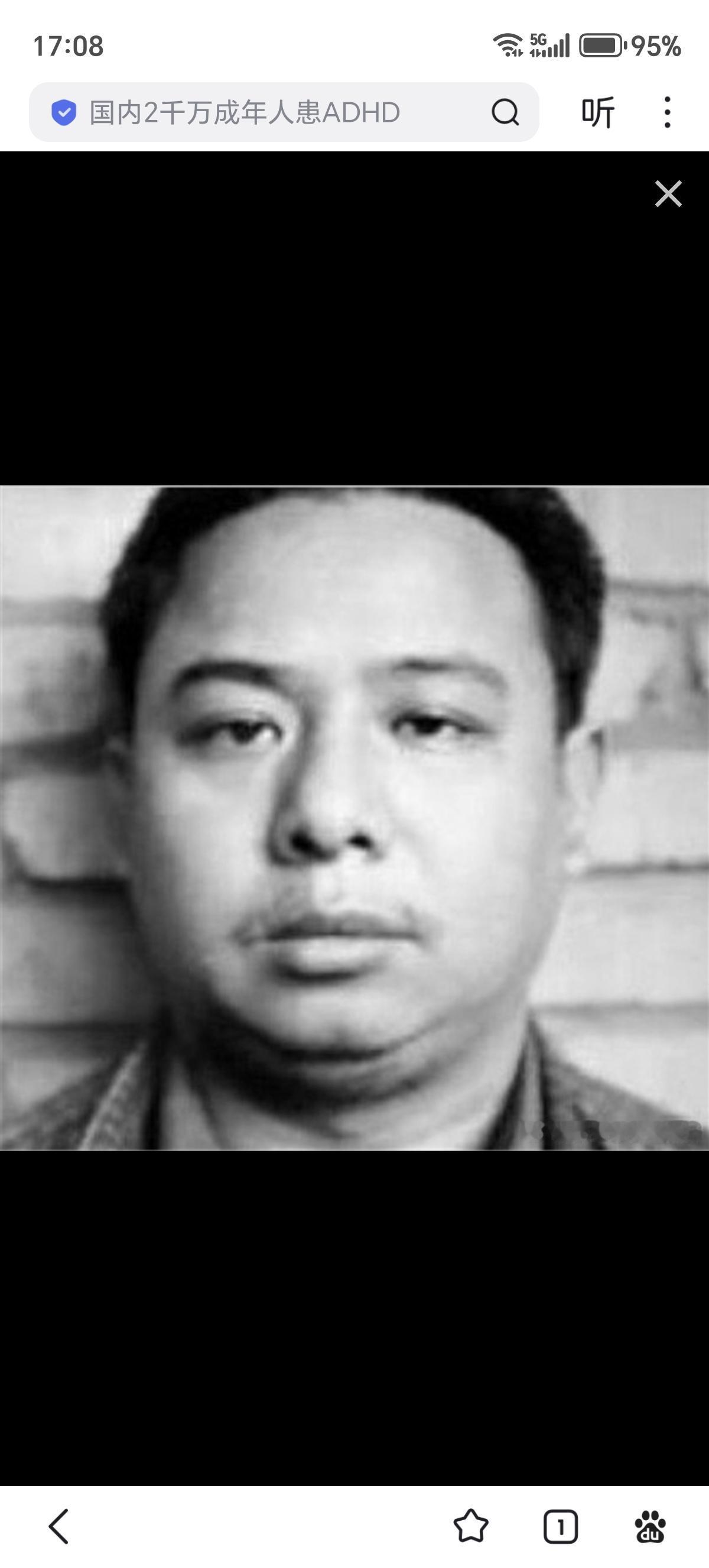 赵元良，原贵州省六盘水市“青龙帮”主要组织者。上世纪80年代初以打架斗殴暴力发家