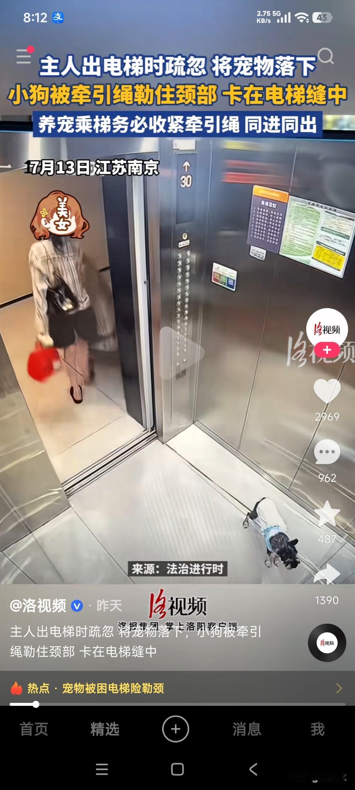 遛狗不牵绳，怕狗子丢了或者咬人，牵个绳没想到因自己的一时大意直接把狗子送走了！