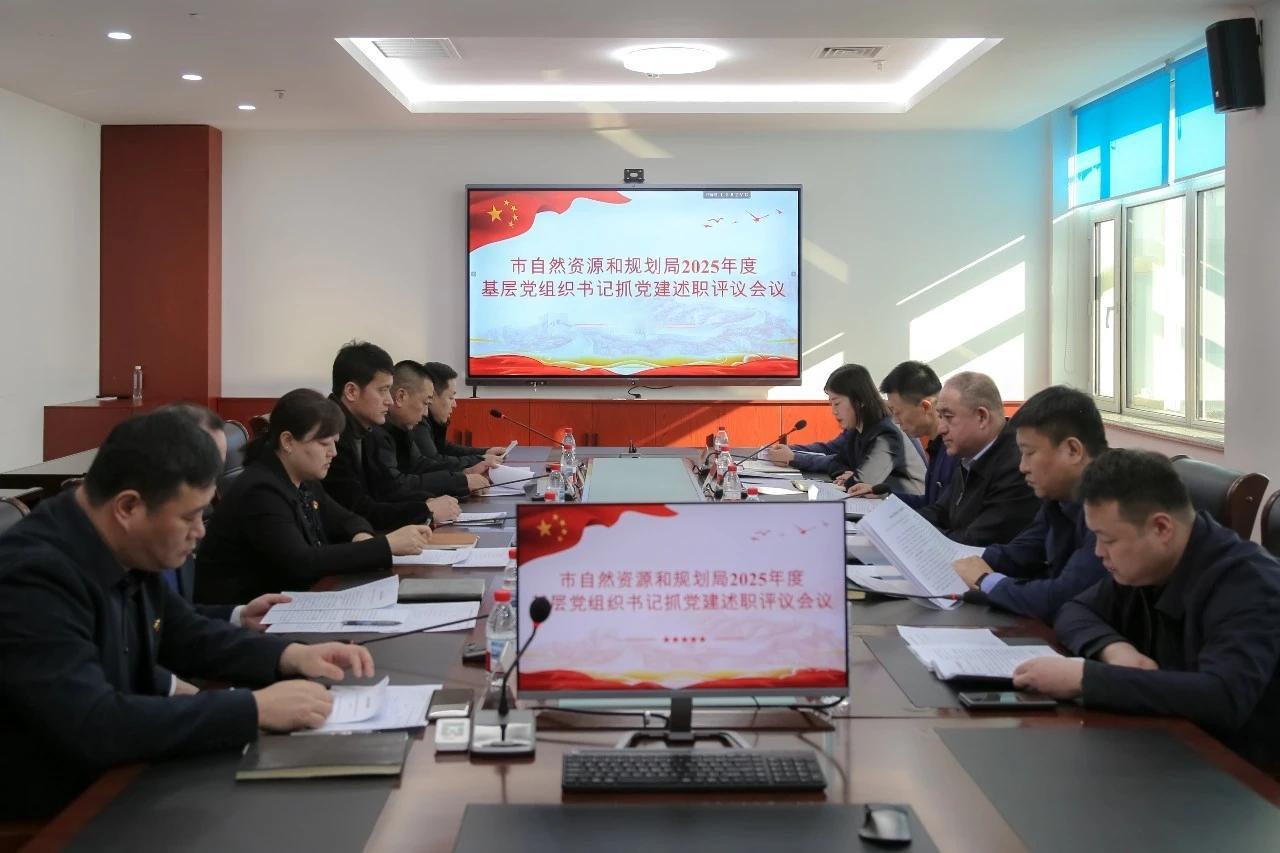 市自然资源和规划局召开2025年度基层党组织书记抓党建述职评议会议

佳木斯市自