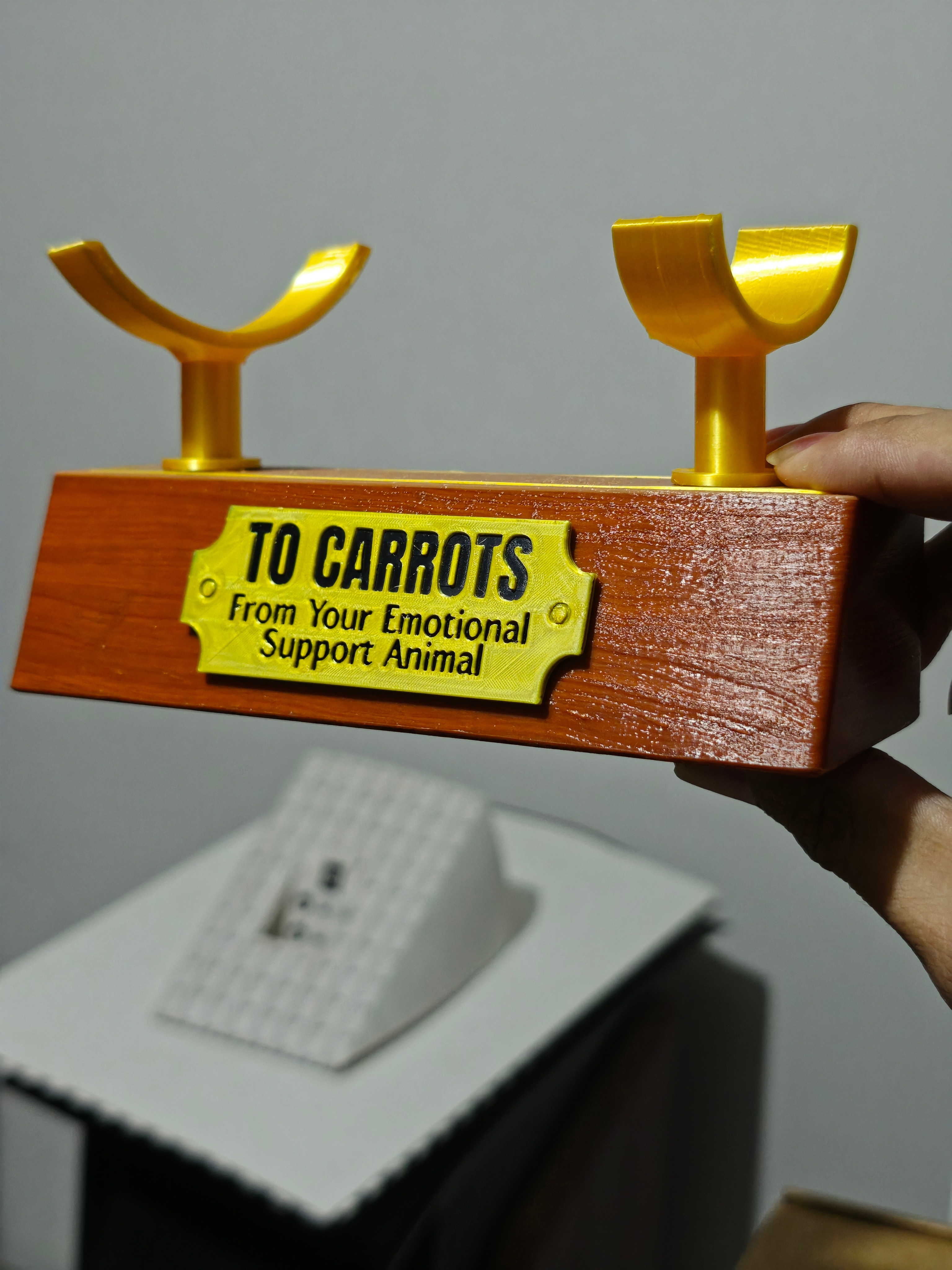 3D打印木头测试成功！萝卜录音笔大升级。此前做的底座是韧性纤维材料，已经做出了木