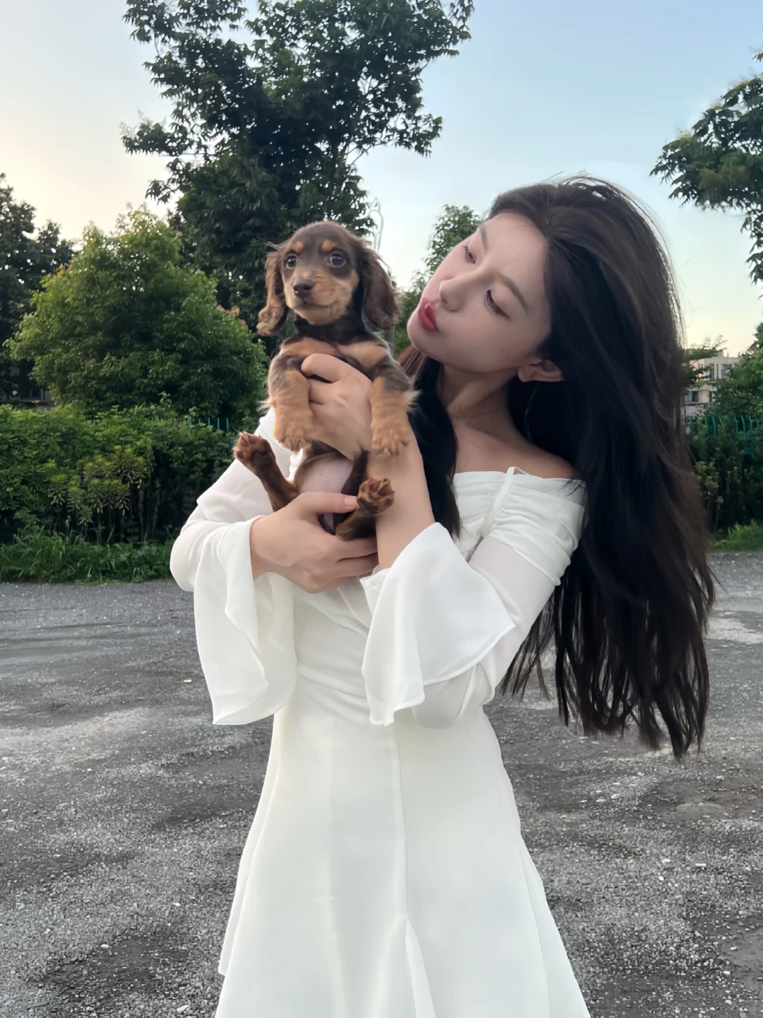 🐶💕🩰