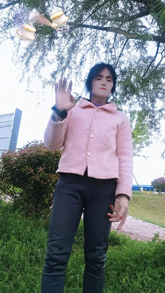理想为何