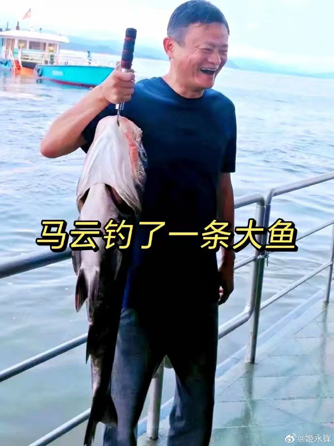 看图说话 马云的曝光度与经济大势成正比。 