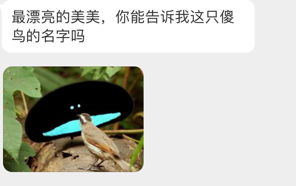 不能 ​​​