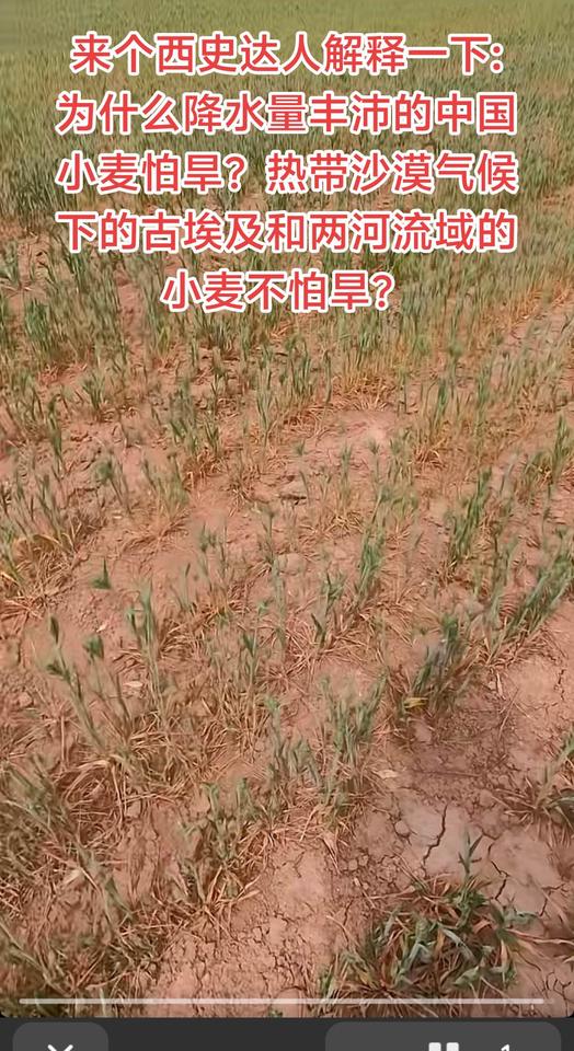 冷知识 历史农业西方伪史西吹