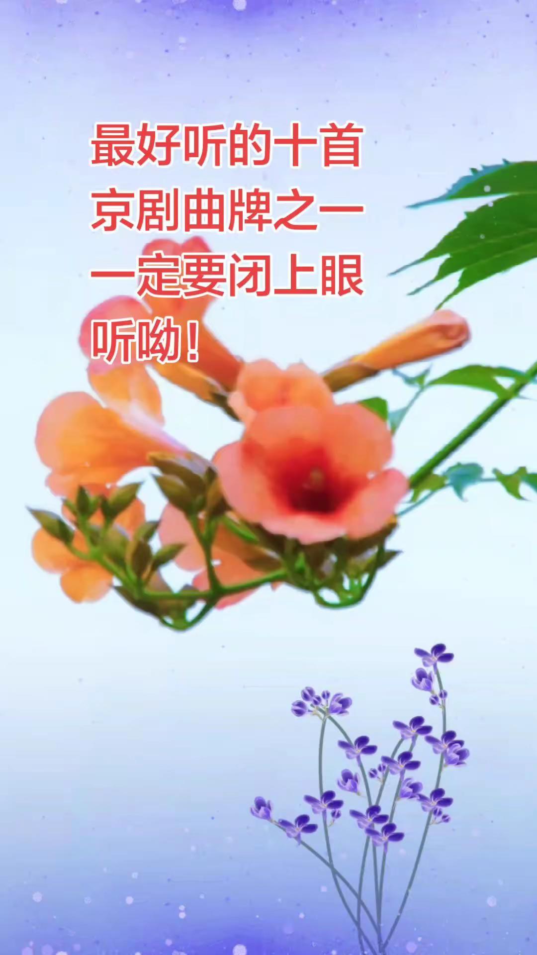 最好听的十首京剧曲牌之一，一定要闭上眼听呦！京剧