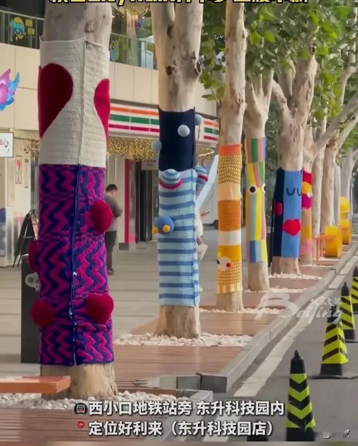 #分享一张好看的风景照# 
北京的树也已经穿上了漂亮的毛衣。