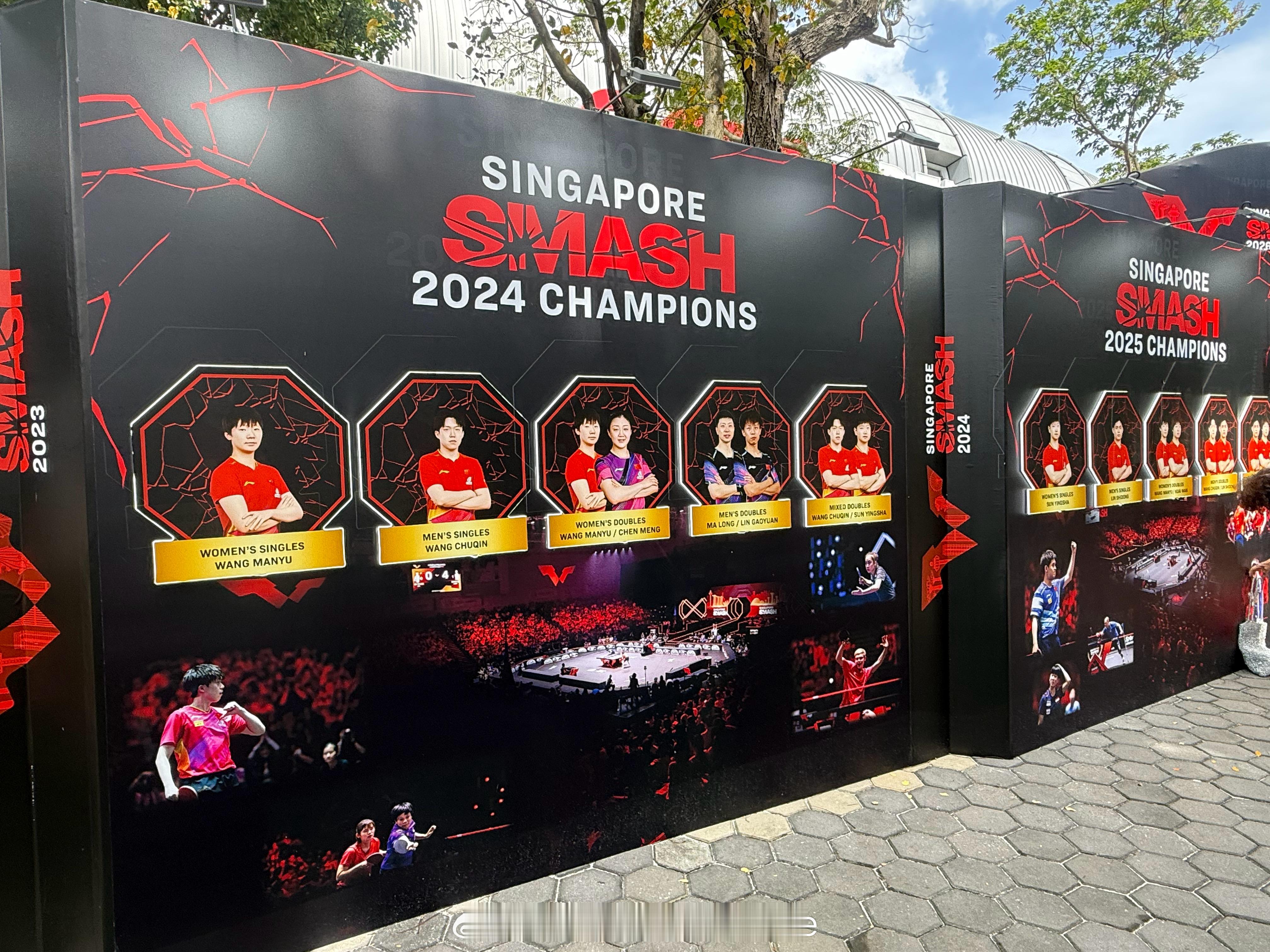 今天是1/16？孙颖莎黄牌