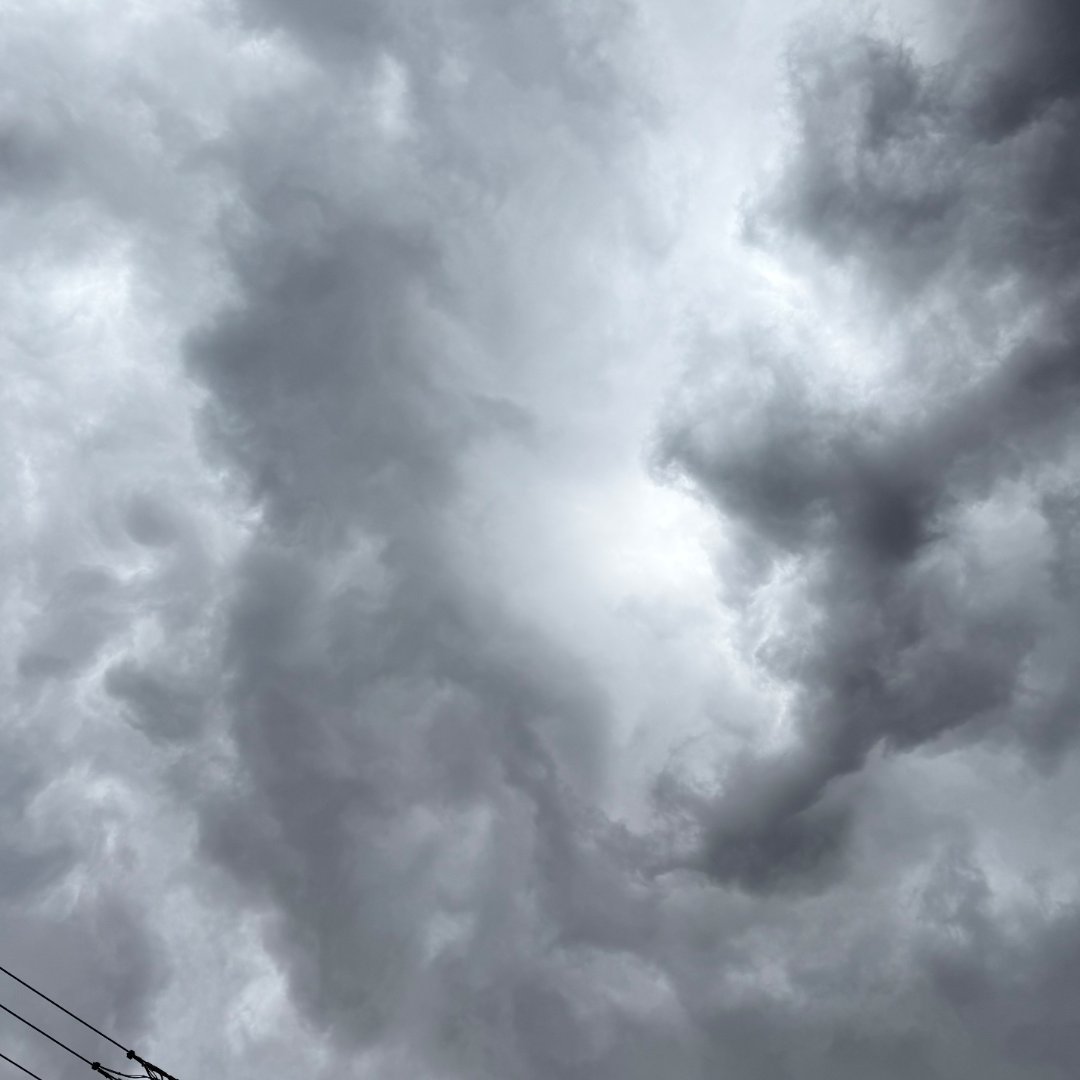 其实感觉整个山东都在狂风暴雨里了🌧️不止青岛济宁也是刮的树都歪了，不到五点天就