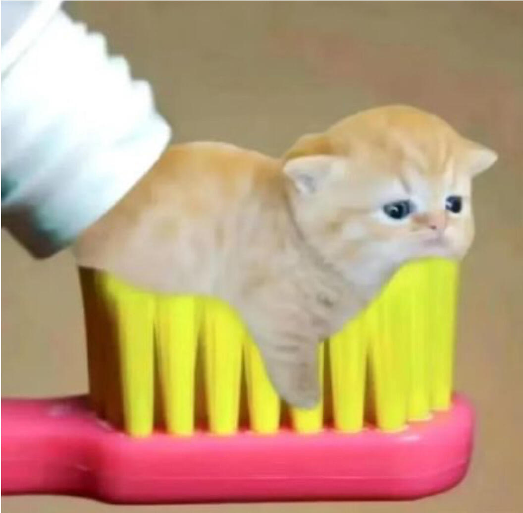 半架飞机都是私生天呢这也太可怕了什么时候能杜绝这种情况发生