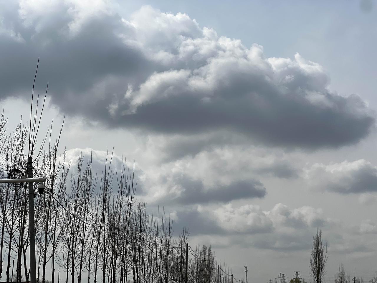 高诗岩拿到三双——这是他个人的第八个三双，对手是天津队。虽然天津队实力弱一点，但