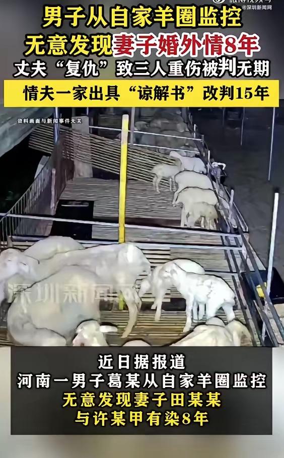 【男子看羊圈监控发现妻子婚外情8年】
近日据报道，河南一男子葛某从自家羊圈监控，