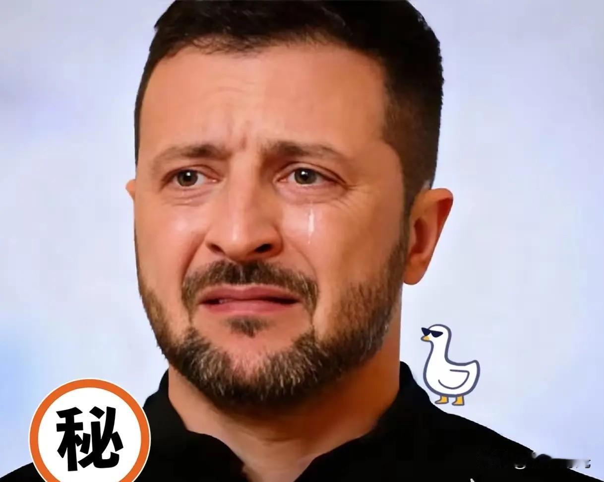 乌克兰消息！

11月29日，乌克兰总统泽连斯基宣布，他的得力干将、乌谈判代表团