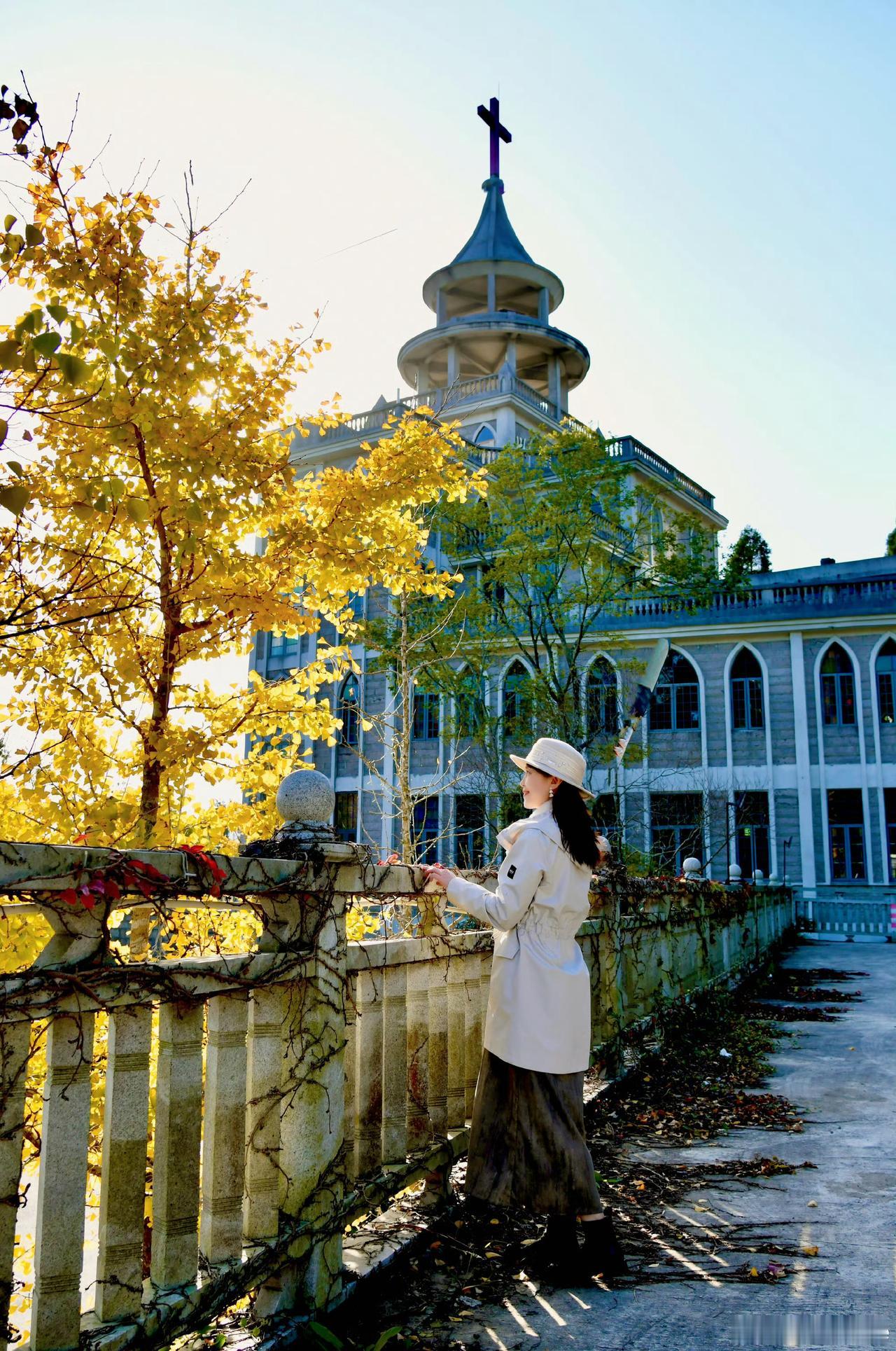 【随手拍鼓岭的冬天】

满树金黄的银杏在阳光下格外灿烂，微风拂过，叶片徐徐飘落，