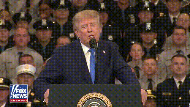 特朗普说完“我将很快宣布霍尔木兹海峡为美国领土”这句话，现场的美国军人一片欢呼声