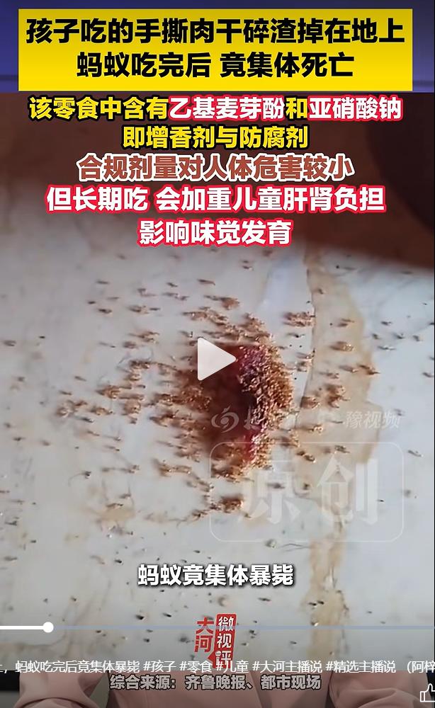 一段实拍视频在网络引发大量家长热议，地面掉落的儿童手撕肉干残渣，吸引蚂蚁前来进食