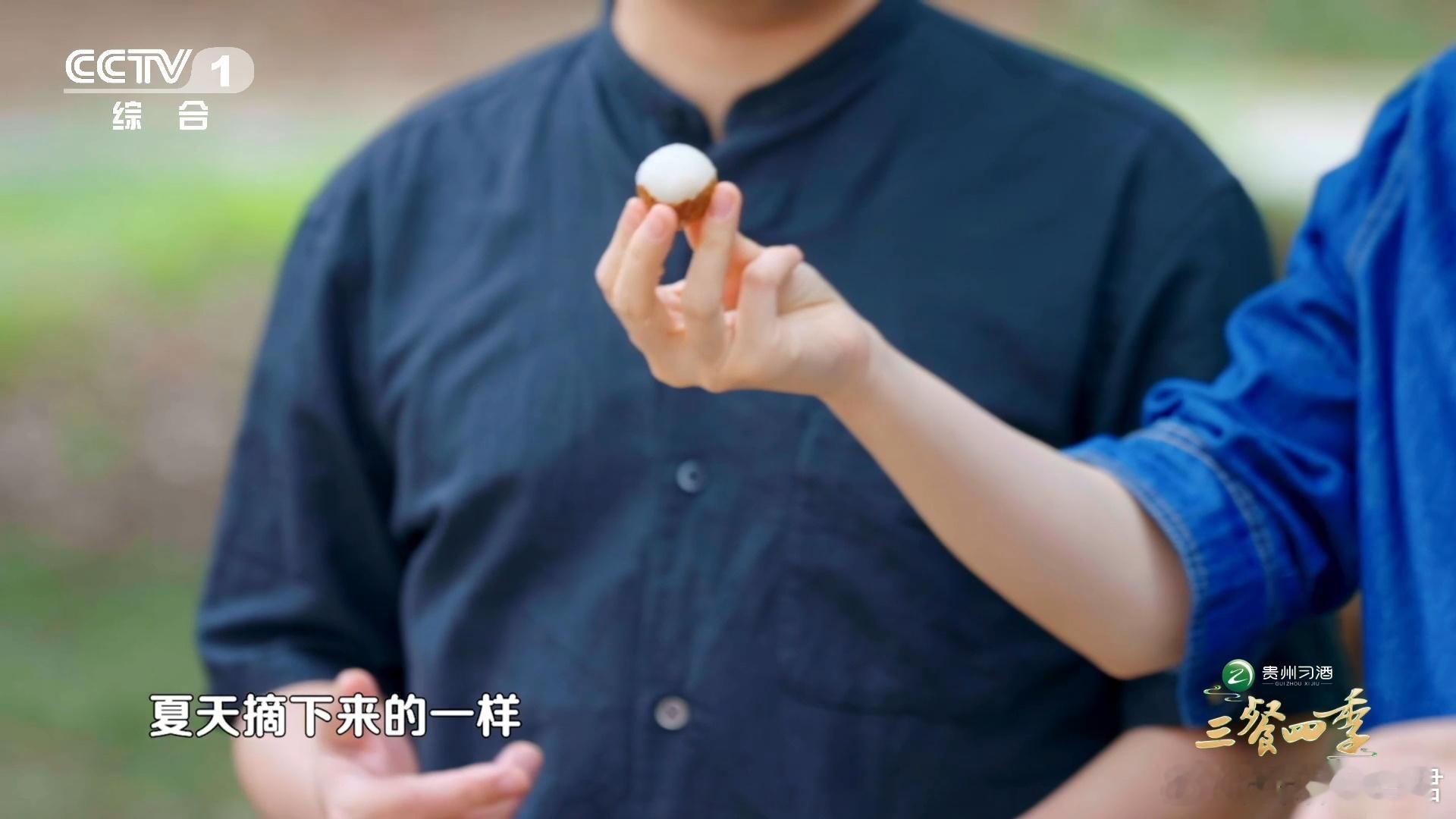 冻眠技术让你随时吃到鲜荔枝冻眠荔枝和鲜荔枝味道一样吗荔枝自由来了！-196℃急速