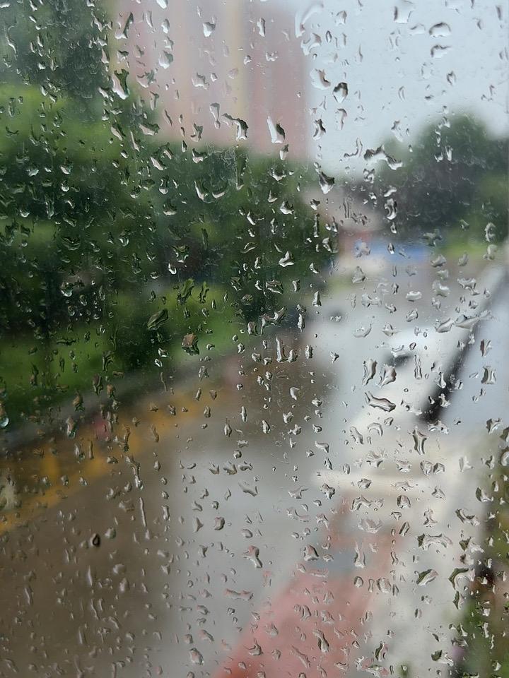 我的今日状态：😁轻松愉快
我这里的天气：🌧下雨
[金哨][助威彩旗][比赛用