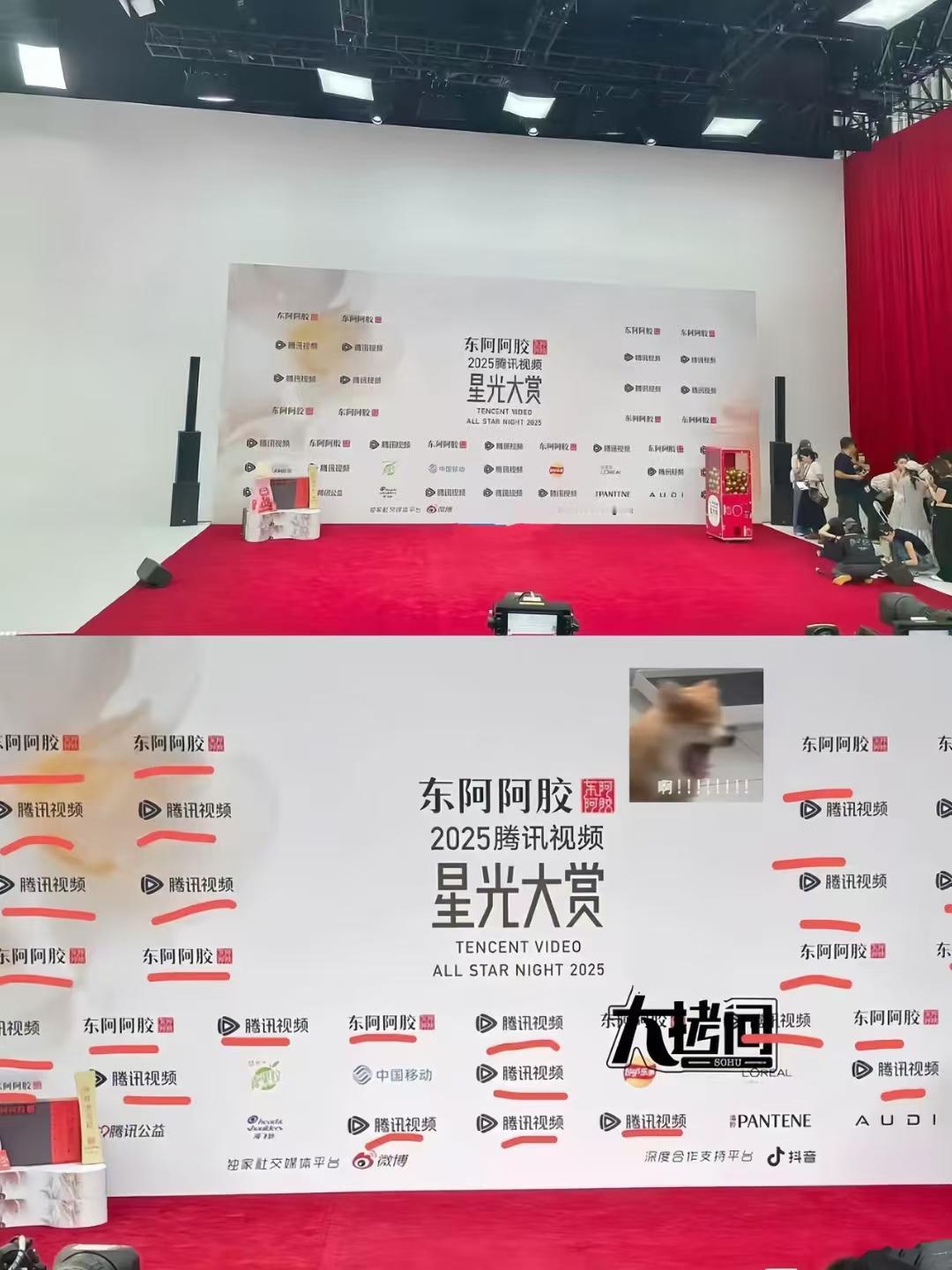 特地看了星光大赏今晚的红毯，
主办方估计后悔了，
不是后悔办活动，而是不该省这些