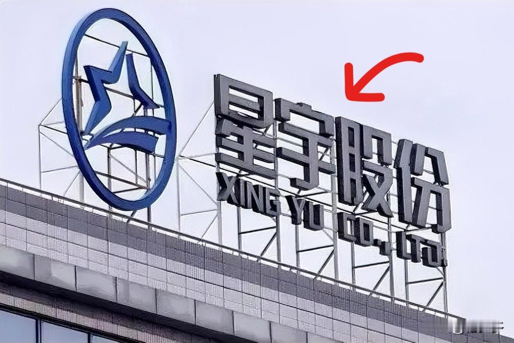 星宇股份塞尔维亚工厂这事儿，看得人心里真不是滋味。

近期有前员工向媒体爆料，这