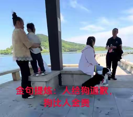 浙江嘉兴女子逼小孩给狗道歉，叫嚣狗比人金贵，爱狗党是无处不在。浙江嘉兴女子遛狗不