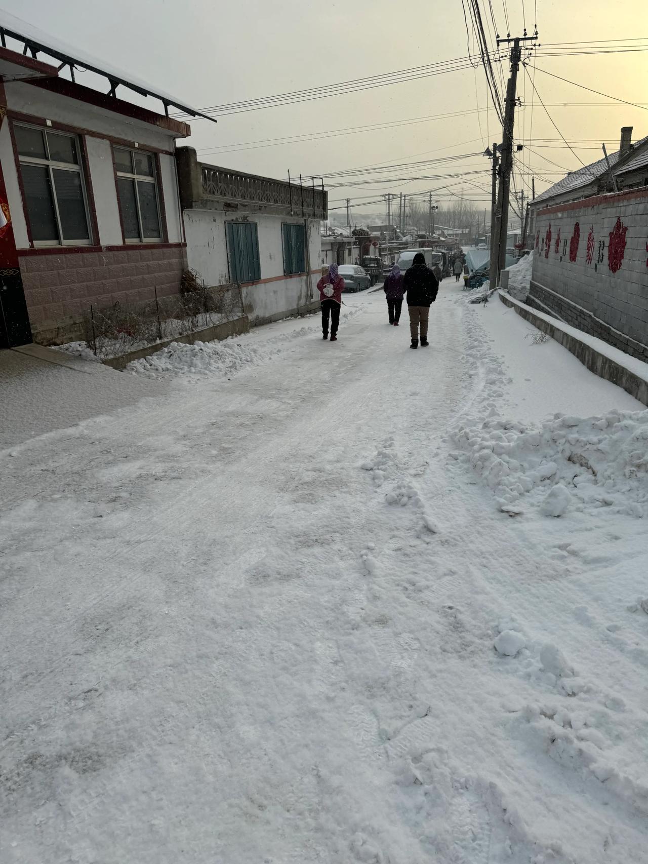 下雪了吗？这是在蓬莱住了十来天，每天早上的第一问。今早上我听着刷刷的扫院子声，又