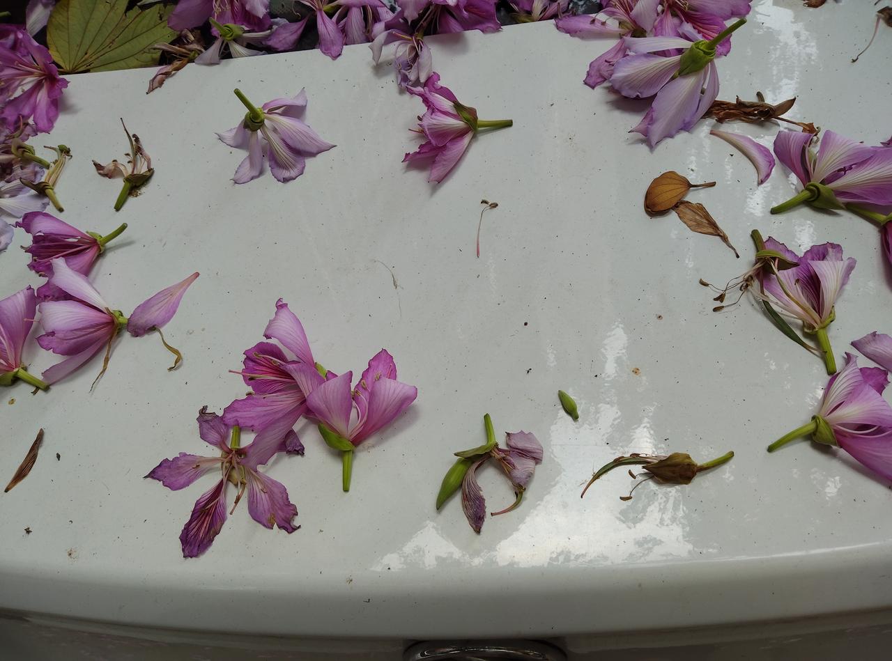 难搞！5000家4S店关门，许多4S店工作人员竟然要去普通汽车修理店打杂？

近