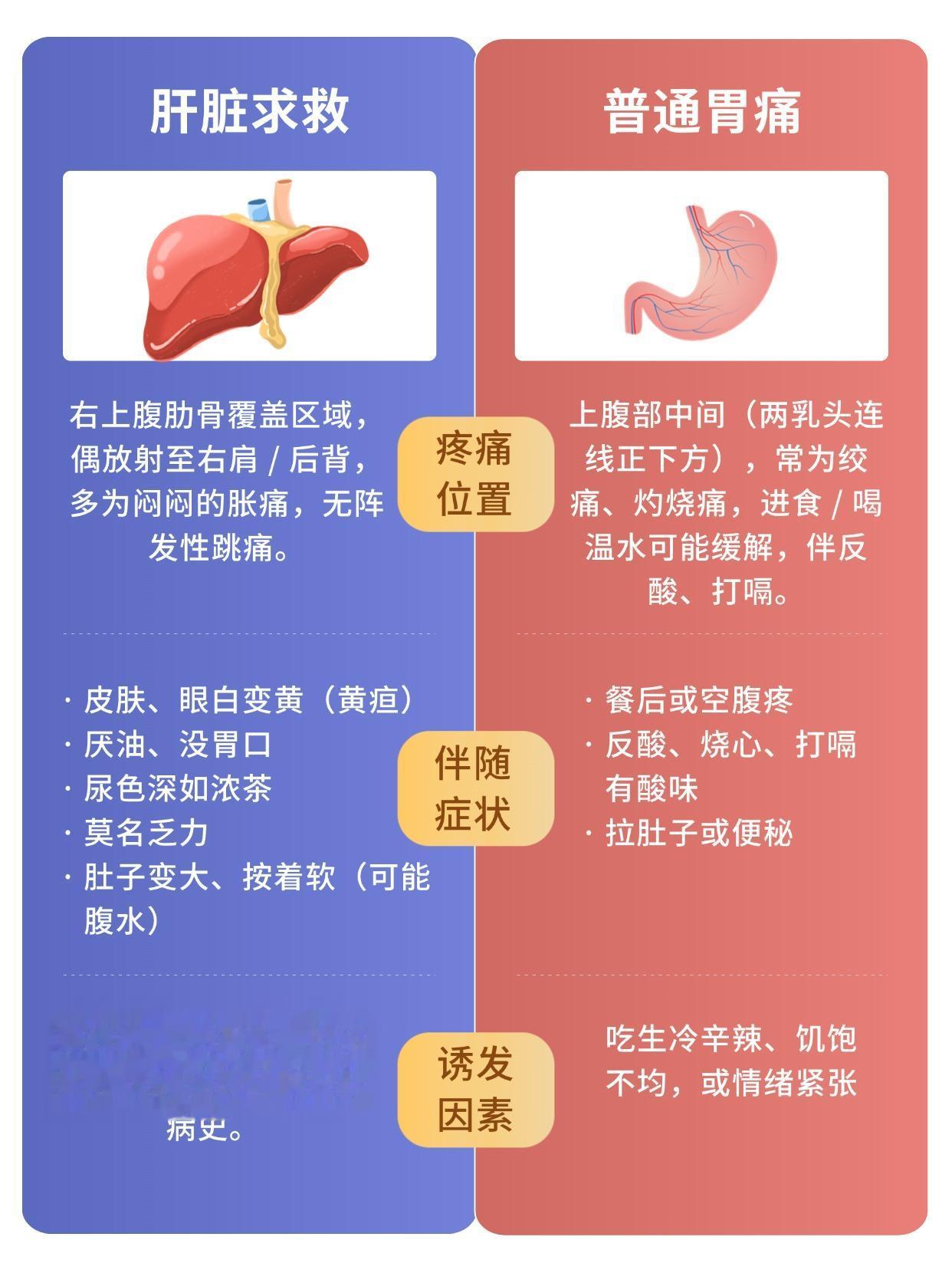 肝区隐痛别硬扛！3 步区分胃痛和肝脏求救。