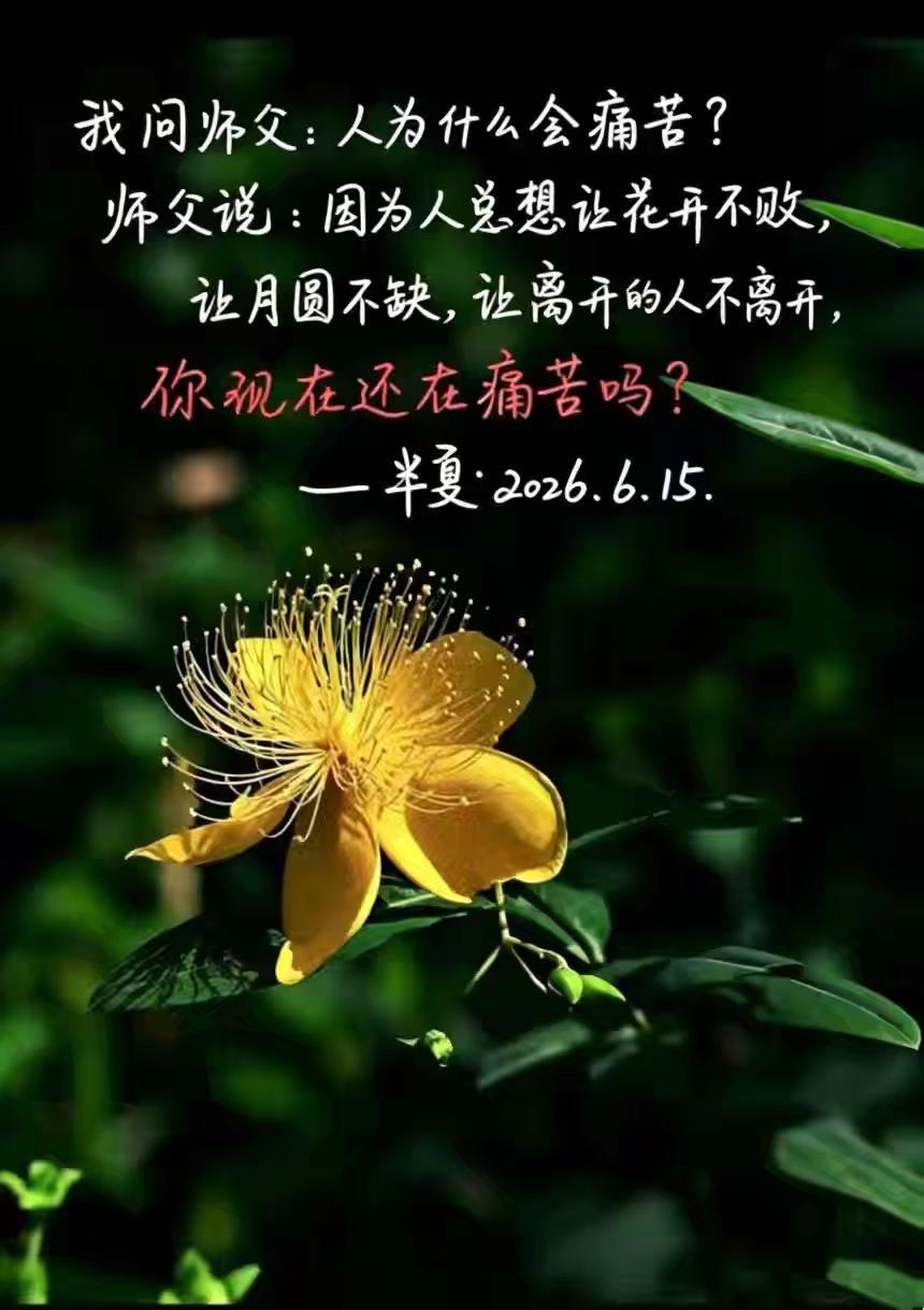 人为什么会痛苦？手写文案 禅意人生 情绪自愈 人间清醒