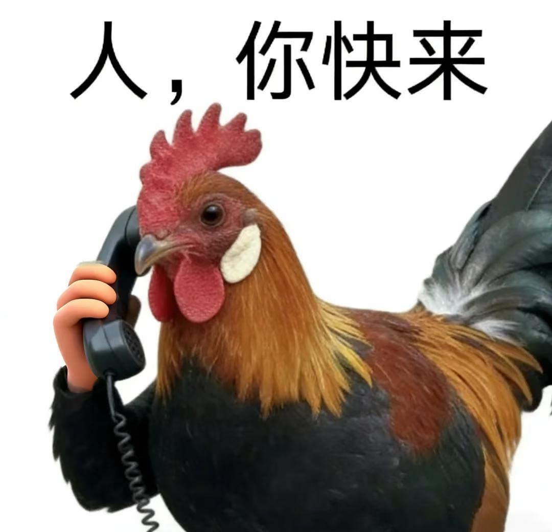 急！新加坡有人吗，借我25w！
中行说11个月后给我4500新，到时候分你200