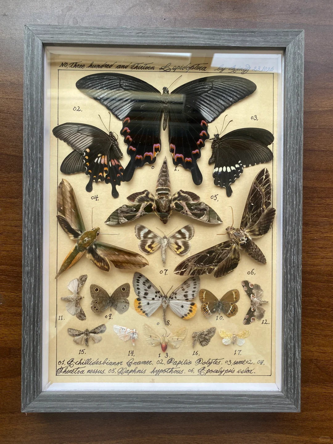 我为它换了一个深色框子