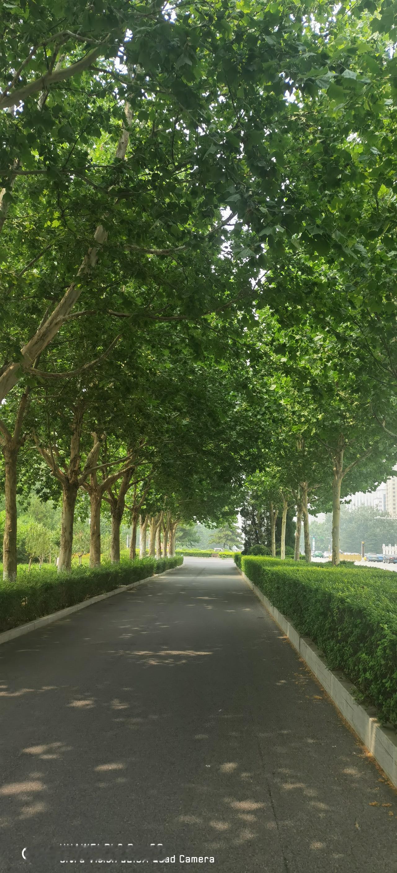 湖北理工大学附属医院2026年公开选聘工作人员30名。选聘岗位条件：具备博士研究