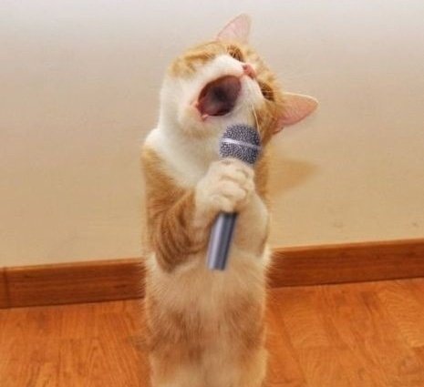 硬核研究所【唱歌是低成本养气血的方法】没事哼哼歌、唱几句，不仅能让心情变好，还能