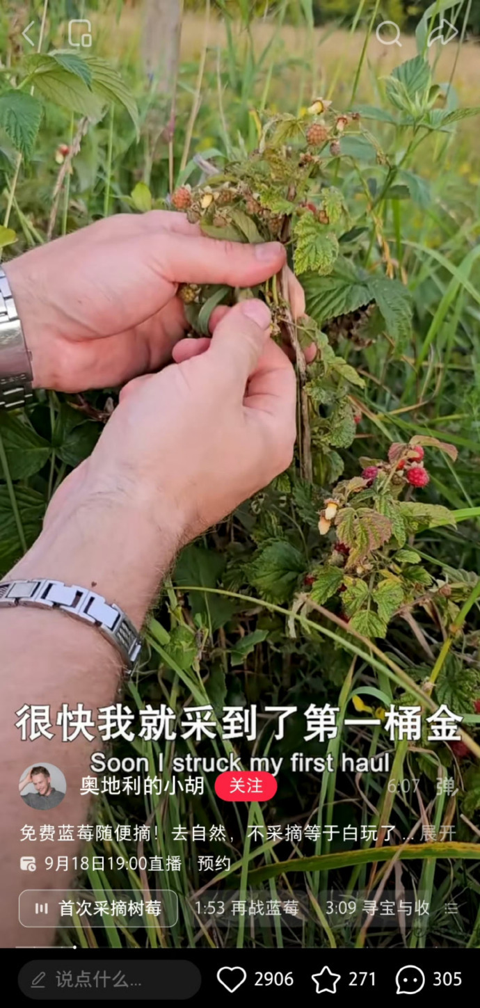 第一批外国人已经开始回农村种地了海外友人也迷上国内田园生活，小红🍠户外拾趣风潮