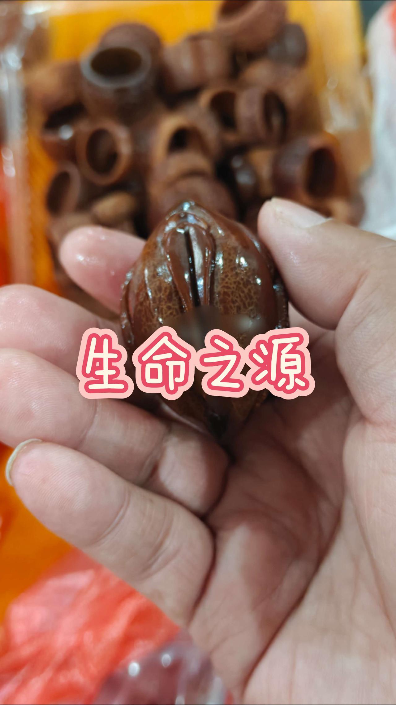 九阴一阳，生命之源，用橄榄核雕展示人类生命的艺术与奥秘。
喜欢的可以跟我说，现货