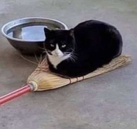 不提名字，你能用两个词形容你最爱的游戏吗？魔王夜谈 ​​​