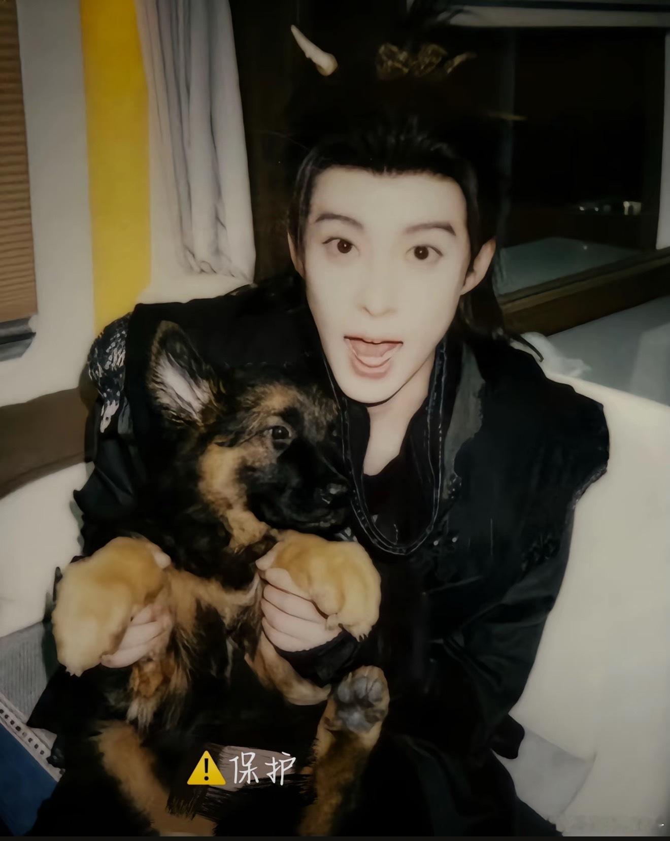 提问🙋‍♀️两张图里一共有几只修狗🐶 ​​​