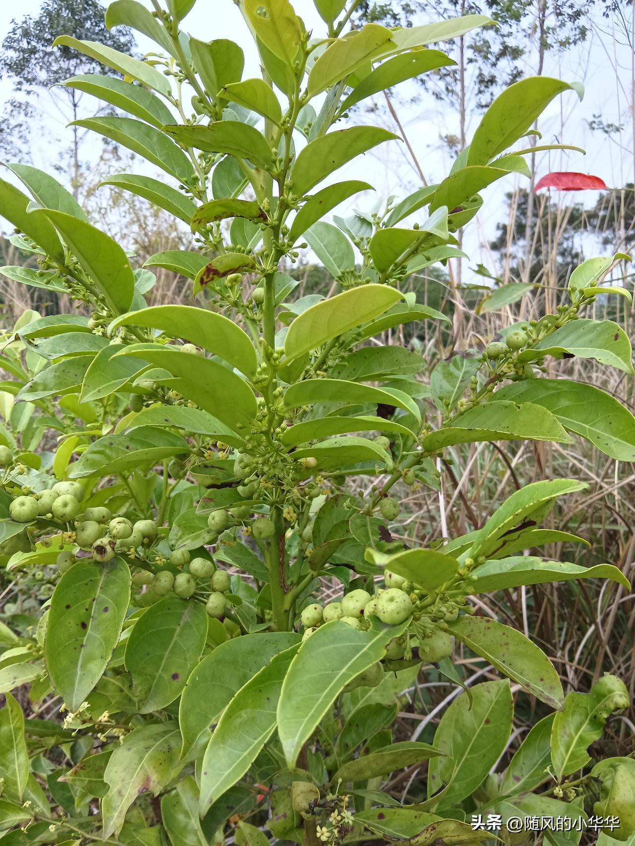 这年头男人都想女人不图钱，女人都想男人不好色所以怎么结婚？？