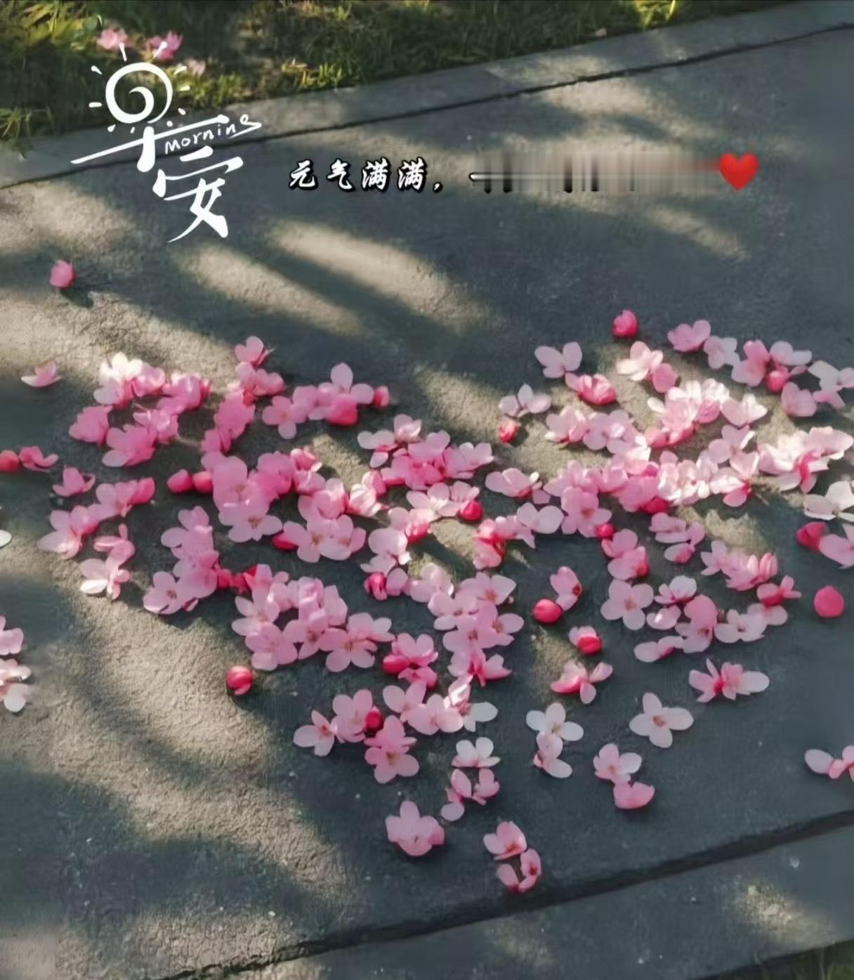 被温热烟火唤醒的清晨，藏着数不尽的小确幸！早安，愿美好与你撞个满怀，周末时光火热