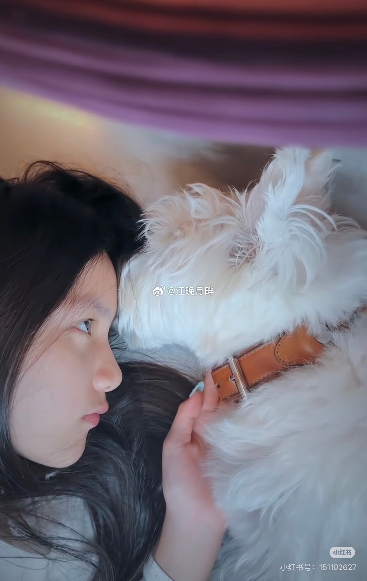 孙莉黄磊二女儿多妹颜值二女儿也好漂亮啊这一家人真好呀 黄多多就已经很漂亮了基因确