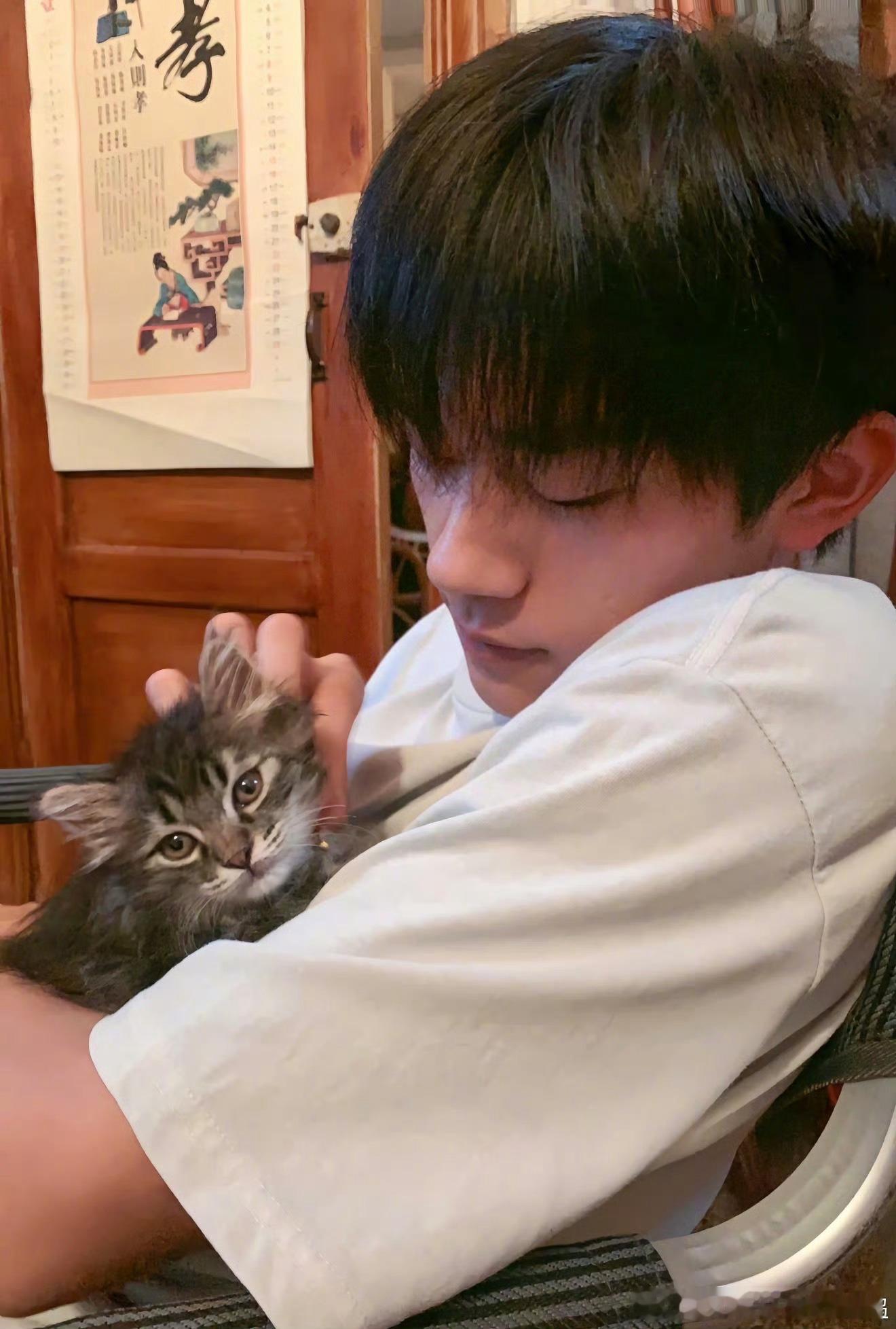 易烊千玺逗猫的手势易烊千玺和猫咪的互动氛围感真的绝了，他逗猫时的手势轻柔内敛，没