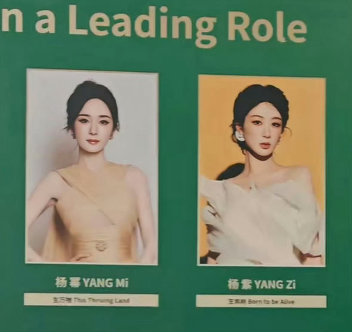 杨幂 杨紫提名白玉兰女主角公式照： 