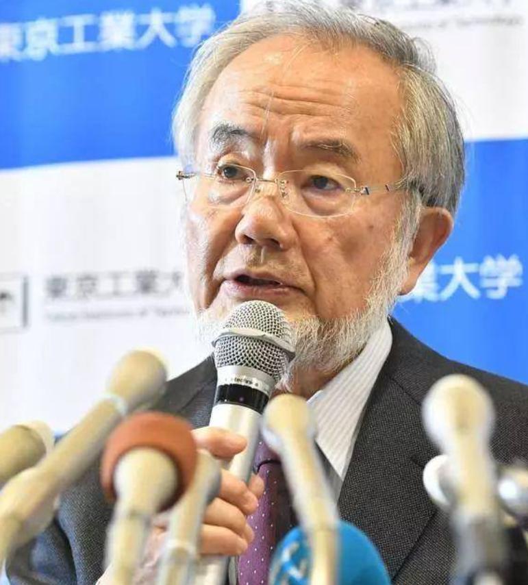 1945 年，大隅良典出生在日本福冈。

战败前后的那些年，日本什么都缺，他就是