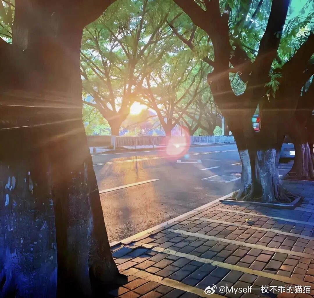 Myself必殺技  养好自己的磁场，好事自然发生。 