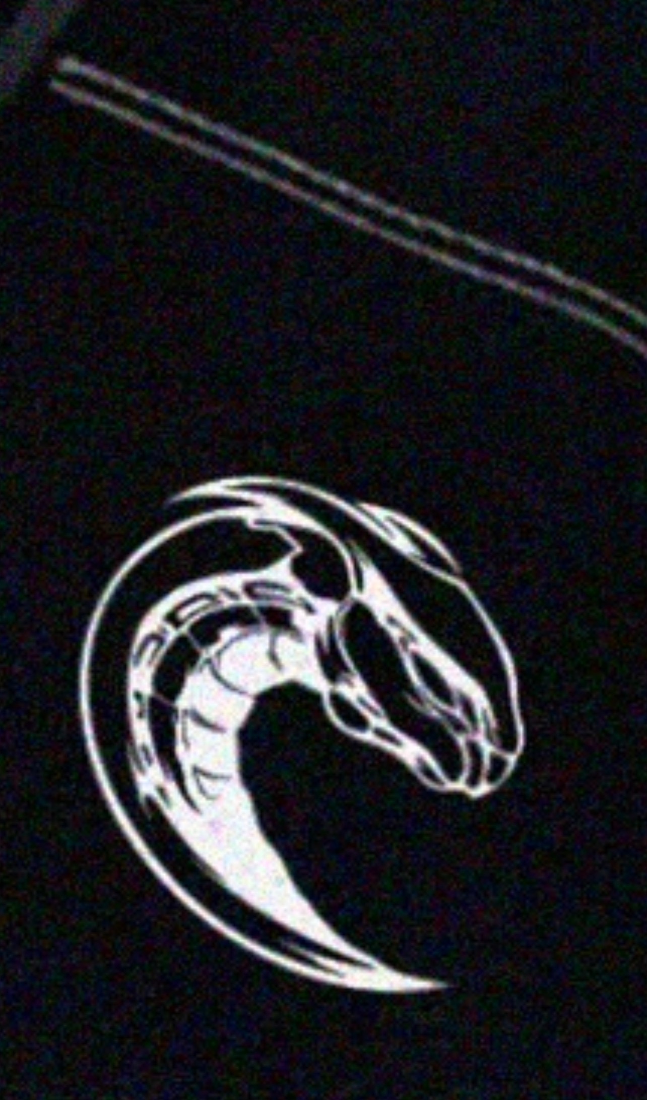 竹叶青都练出腹肌了