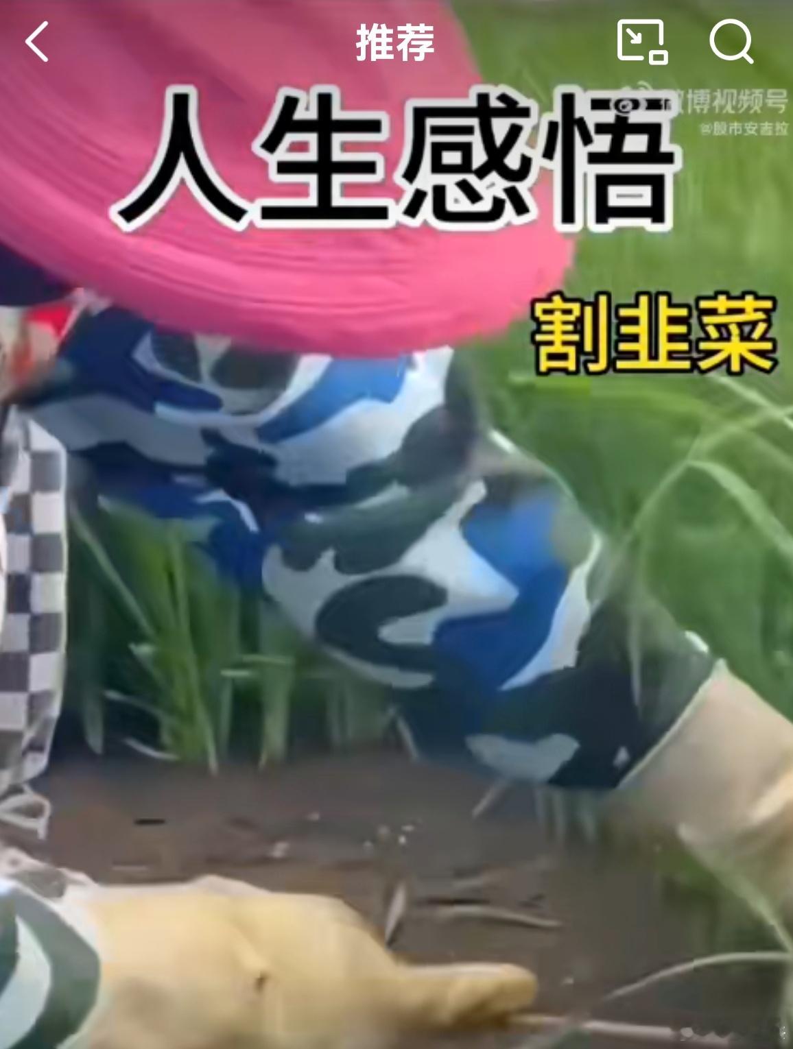 有的人相隔千里，我能闻到韭菜味！ 
